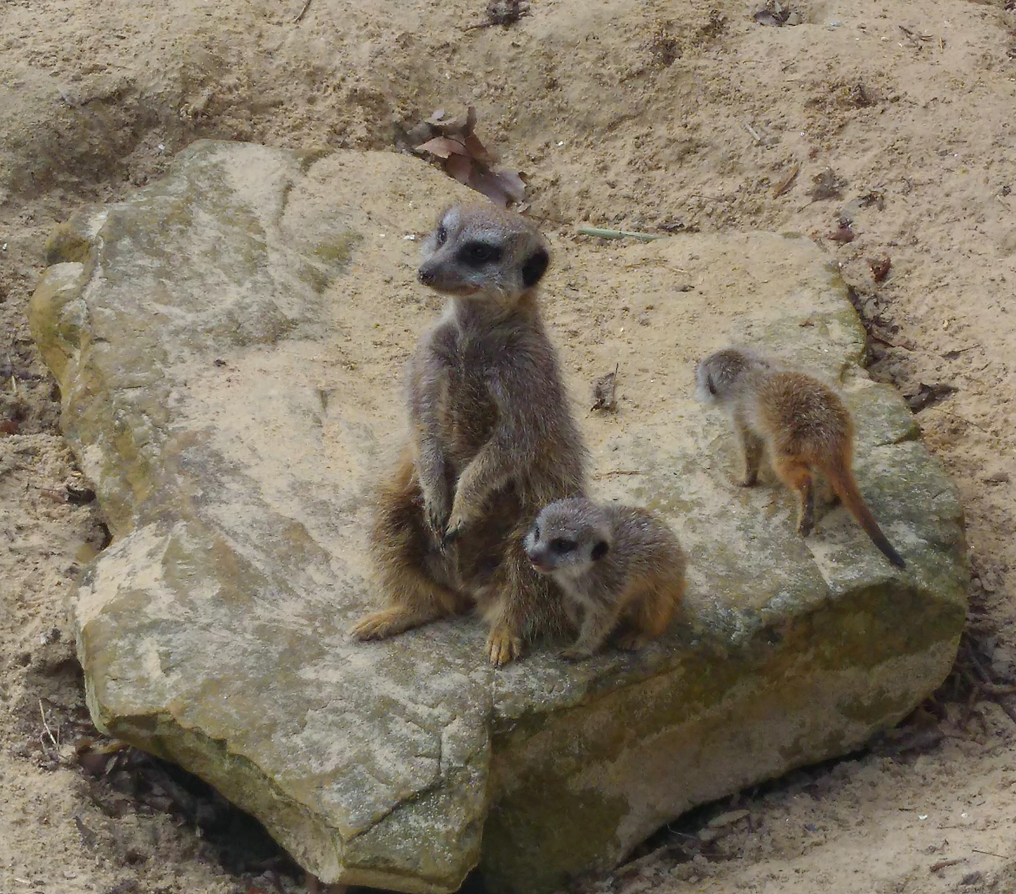 Photo n° 3 de l'avis de Christelle. fait le 31/03/2018 à 11:38
