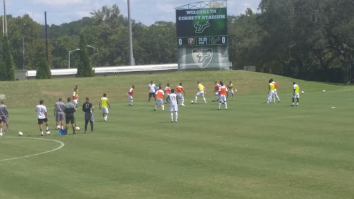 Stadium «USF Corbett Soccer Stadium», reviews and photos, USF Elm Drive, Tampa, FL 33617, USA