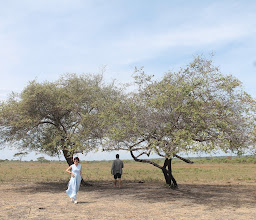 Osing Java Tour photo