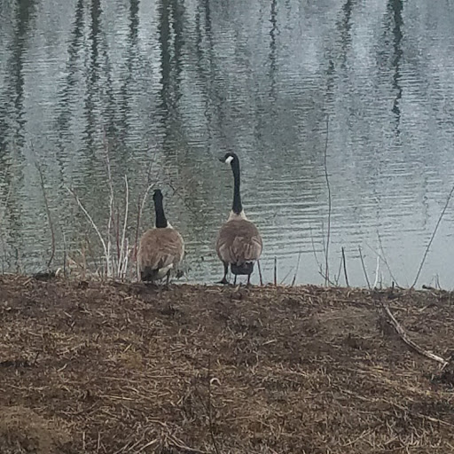 Nature Preserve «Rock Run Preserve - Black Road Access», reviews and photos, Black Rd, Joliet, IL 60431, USA