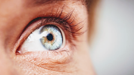 Optometrist «OCEAN OPTICAL», reviews and photos, 16124 NE 87th St, Redmond, WA 98052, USA