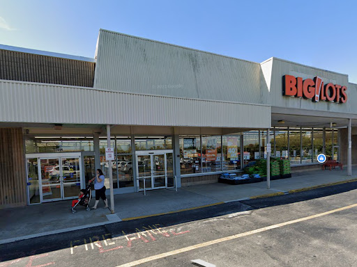 Big Lots, 2644 Dekalb Pike, Norristown, PA 19401, USA, 