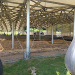 Photo n° 11 de l'avis de Virginie.e fait le 09/06/2023 à 13:47 pour Mont Beuvray à Saint-Léger-sous-Beuvray