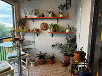 BOS orchids and Landscaping - Photo 2 - Car repair in , Pembroke Pines