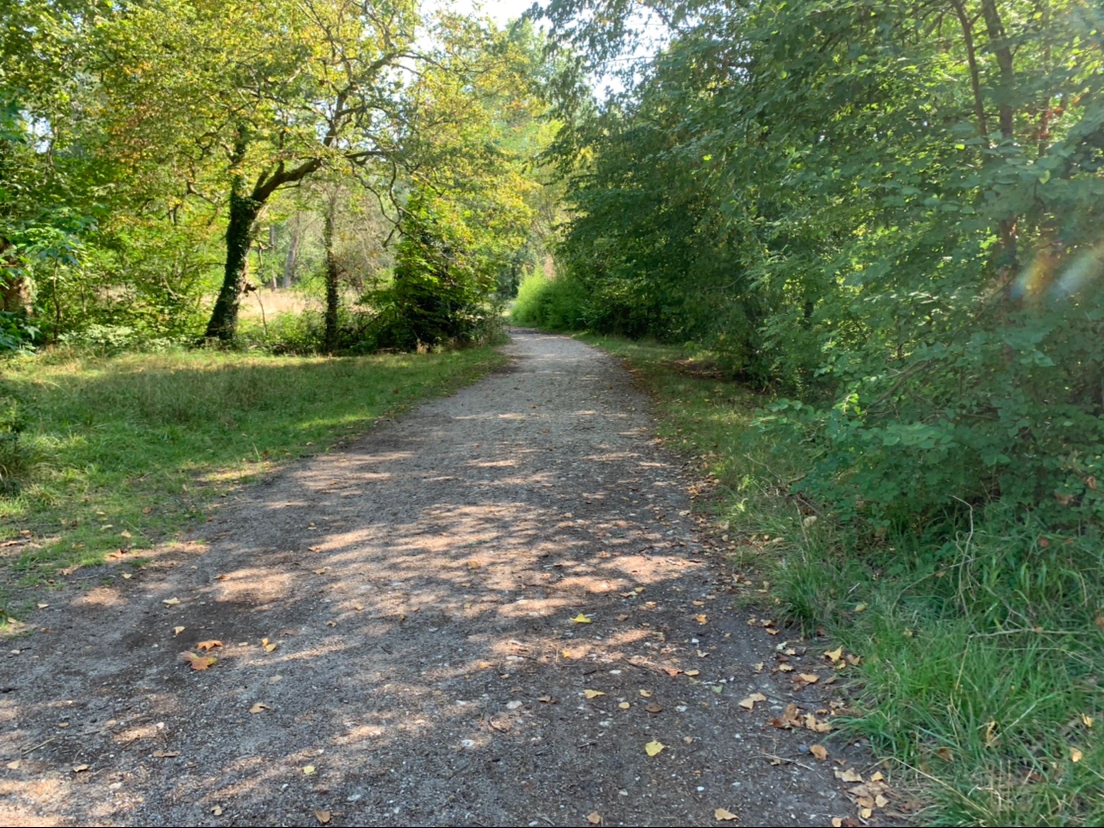 Photo n° 6 de l'avis de Esteban.R fait le 17/08/2023 à 16:46