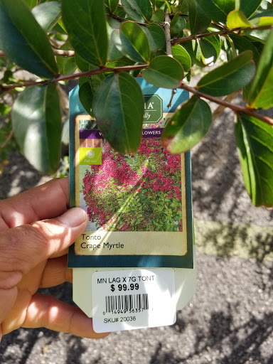 Garden Center «Pike Nurseries», reviews and photos, 6050 Bethelview Rd, Cumming, GA 30040, USA