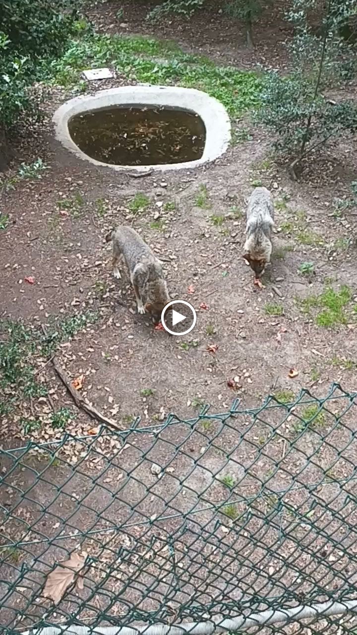 Photo n° 2 de l'avis de Jean.u fait le 20/07/2023 à 15:55