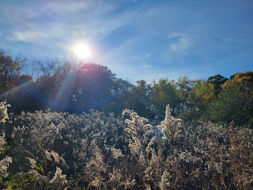 Nature Preserve «Grant Woods Forest Preserve», reviews and photos, 25405 W Monaville Rd, Ingleside, IL 60041, USA