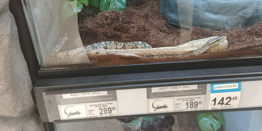 Pet Supply Store «Petco Animal Supplies», reviews and photos, 4915 E 41st St C, Tulsa, OK 74135, USA