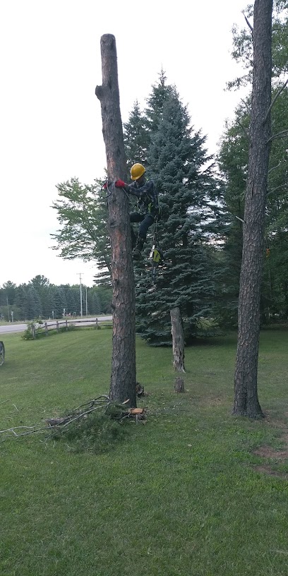 GC Tree Service & Removal