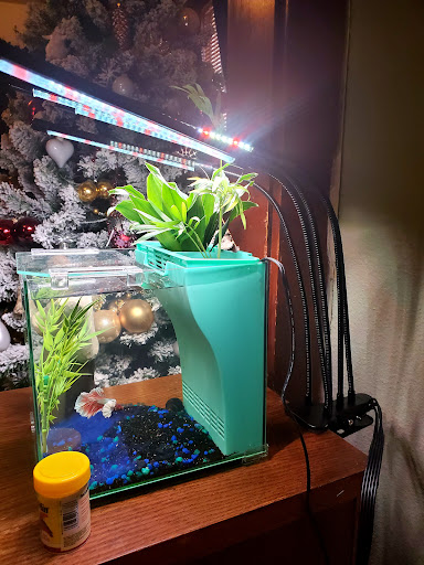 Pet Store «Tye-Dyed Iguana - Reptiles», reviews and photos, 1905 W U.S. 50, Fairview Heights, IL 62208, USA