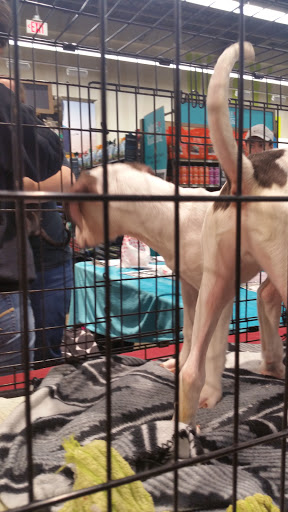 Pet Supply Store «Petco Animal Supplies», reviews and photos, 12611 Jefferson Davis Hwy, Chester, VA 23831, USA