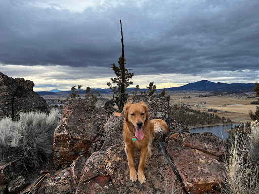 Plateau Veterinary Hospital image