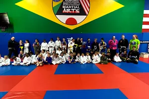 Auburn Jiu Jitsu, Brazilian Jiu Jitsu, Judo image