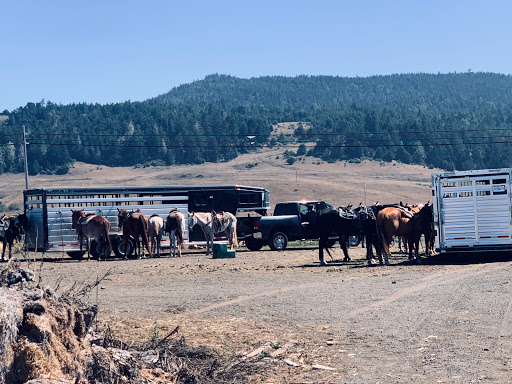 Stable «Ross Ranch», reviews and photos, 28300 Philo Greenwood Rd, Elk, CA 95432, USA