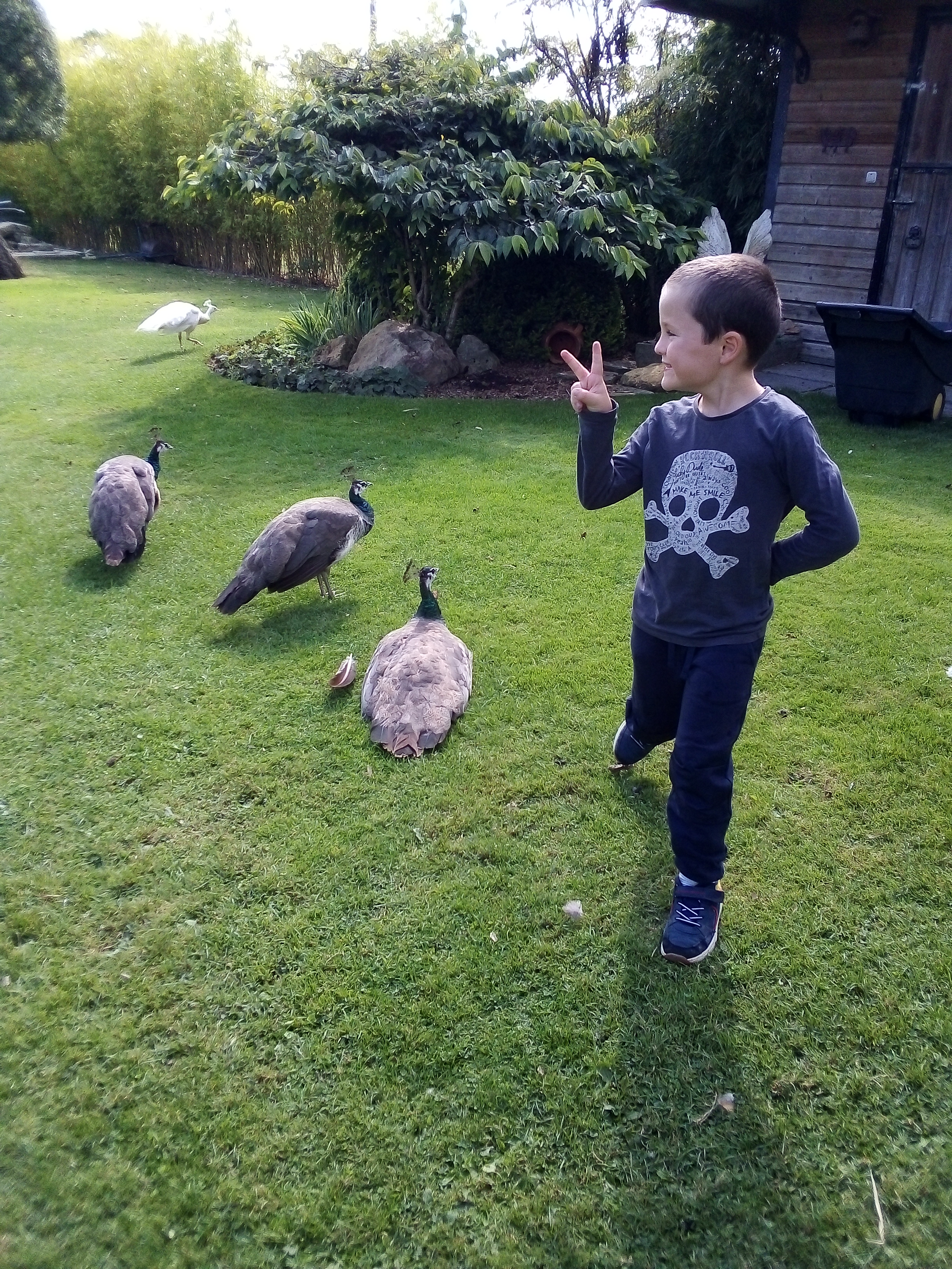 Photo n° 7 de l'avis de Stéphane.E fait le 10/09/2022 à 17:28
