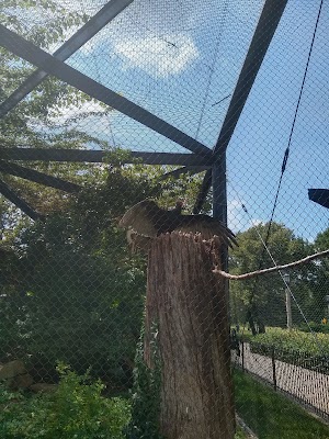 Kansas Wildlife Exhibit - photo 69