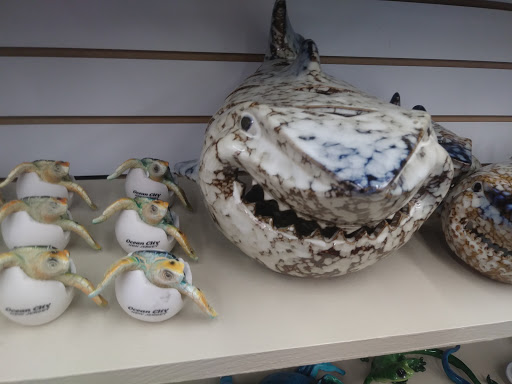 Gift Shop «Ocean Treasures», reviews and photos, 966 Boardwalk, Ocean City, NJ 08226, USA