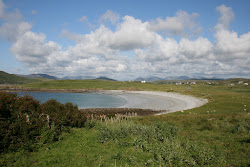 Selerna Beach'in fotoğrafı vahşi alan