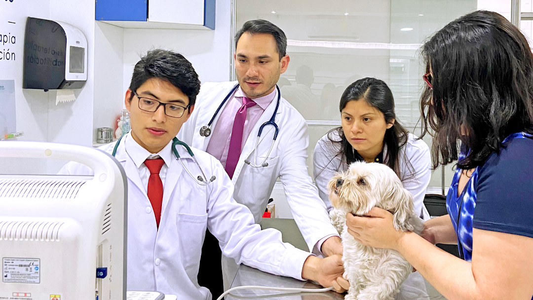 Cuore - Cardiologos veterinarios especialistas en Lima, Perú.