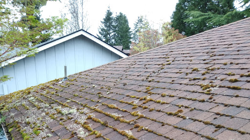 Alpha Roof Care in Eugene, Oregon