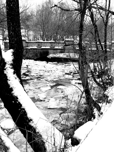 Park «Cherokee Park», reviews and photos, 745 Cochran Hill Rd, Louisville, KY 40206, USA