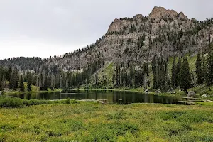 White Pine Lake image
