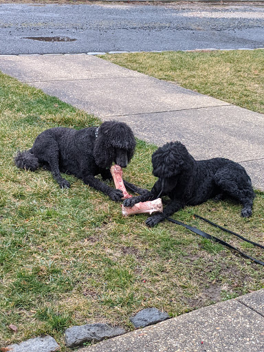 Butcher Shop «Monmouth Meats», reviews and photos, 112 Monmouth St, Red Bank, NJ 07701, USA