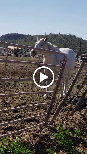 Horseback Riding Service «Spur Cross Stables», reviews and photos, 44029 N Spur Cross Rd, Cave Creek, AZ 85331, USA