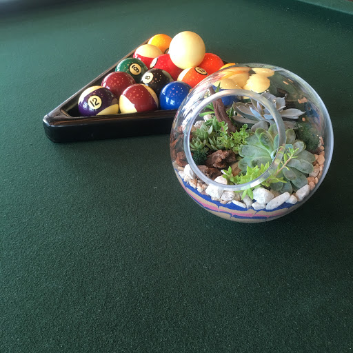 Wholesale Florist «Urban Jungle», reviews and photos, 2603 Sherman Ave NW, Washington, DC 20001, USA