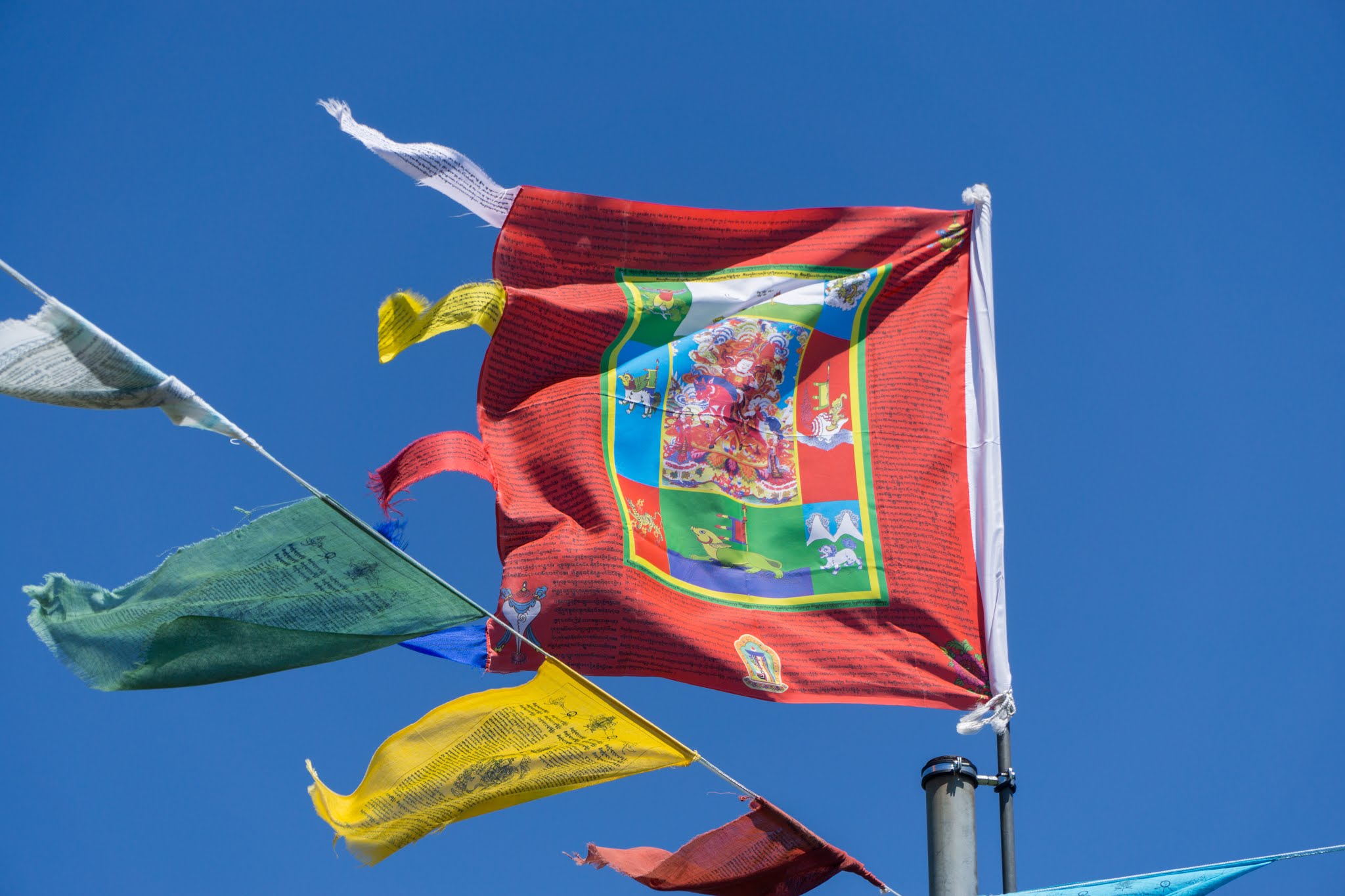 Photo n° 11 de l'avis de Adrien.O fait le 14/07/2018 à 16:10