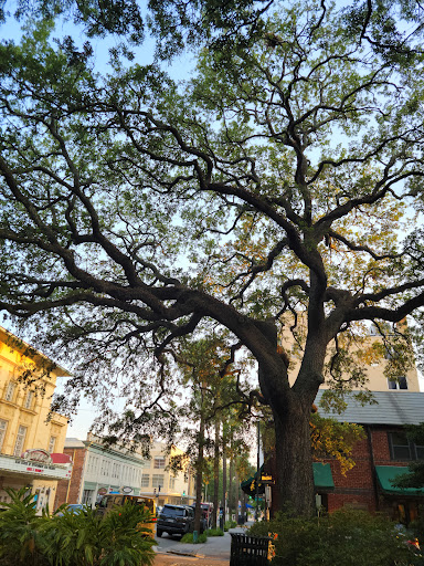 Performing Arts Theater «Lucas Theatre For the Arts», reviews and photos, 32 Abercorn St, Savannah, GA 31401, USA