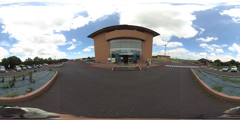 地底探検ミュージアム 龍q館 埼玉県春日部市上金崎 博物館 美術館 博物館 グルコミ