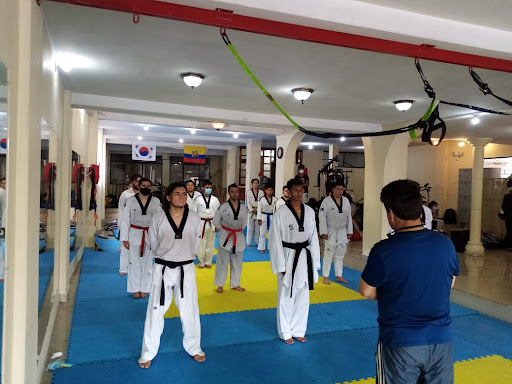 Escuela de Taekwondo y Artes Marciales 