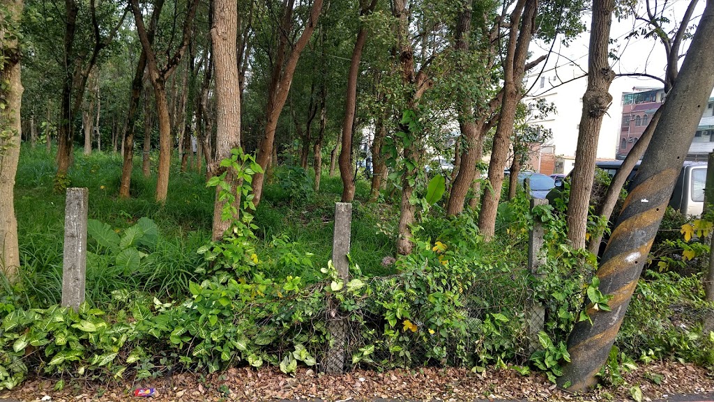 85度C咖啡蛋糕飲料麵包(八德興豐店) 的照片