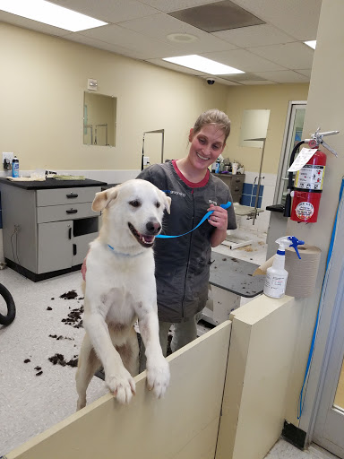 Pet Supply Store «Petco Animal Supplies», reviews and photos, 3215 Dredge Dr, Helena, MT 59602, USA