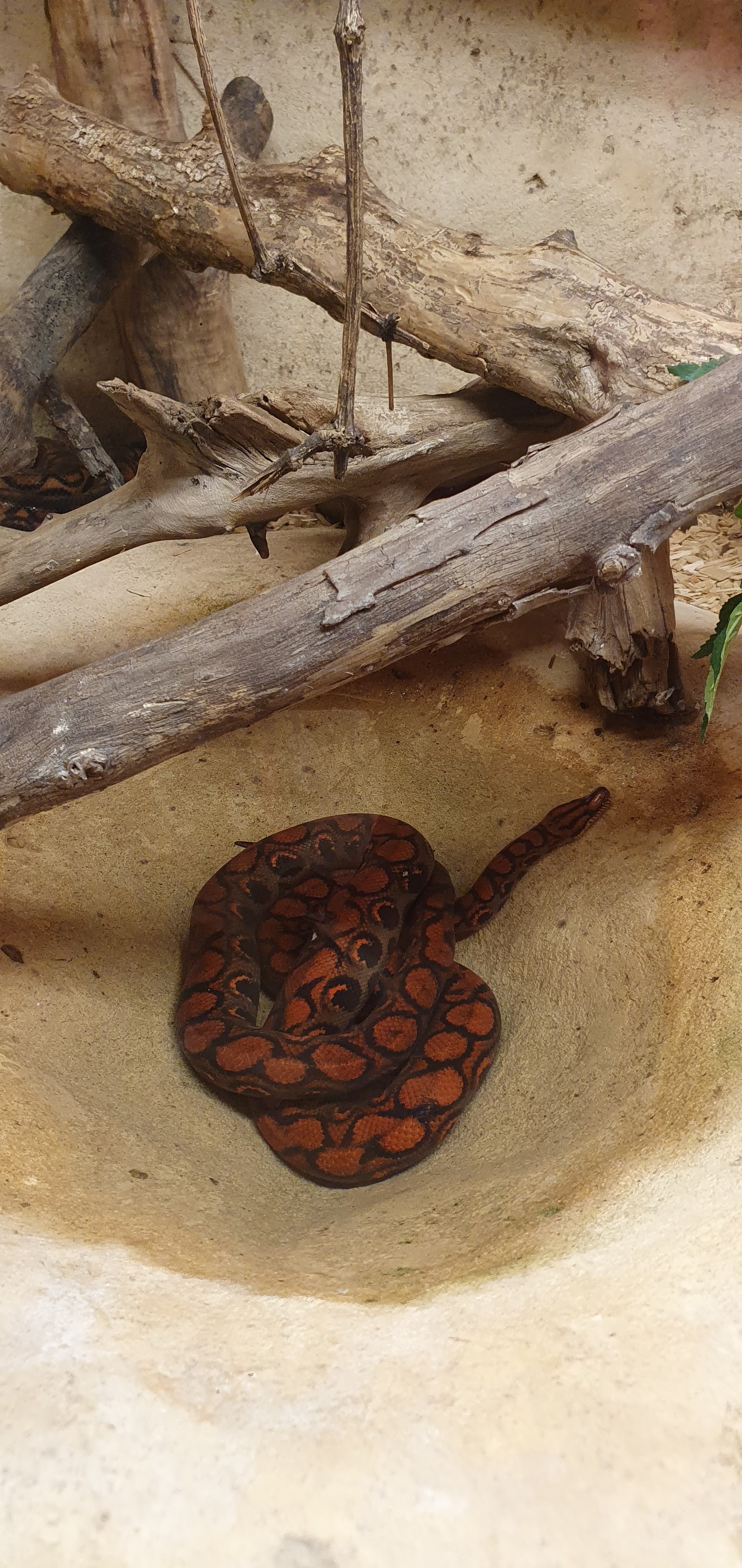 Photo n° 17 de l'avis de Laëtitia.E fait le 25/07/2020 à 00:11