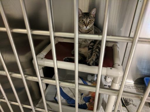 Pet Supply Store «PetSmart», reviews and photos, 2017 N Prospect Ave, Champaign, IL 61822, USA