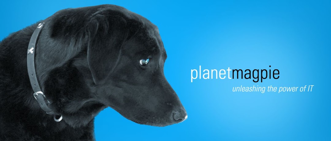 PlanetMagpie IT Consulting - Dallas Office