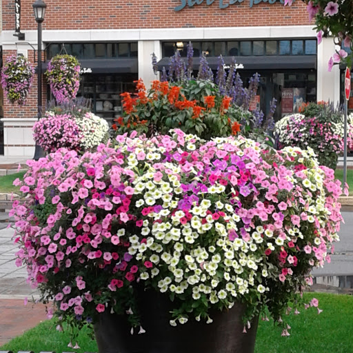 Shopping Mall «The Shoppes at Farmington Valley», reviews and photos, 110 Albany Turnpike, Canton, CT 06019, USA