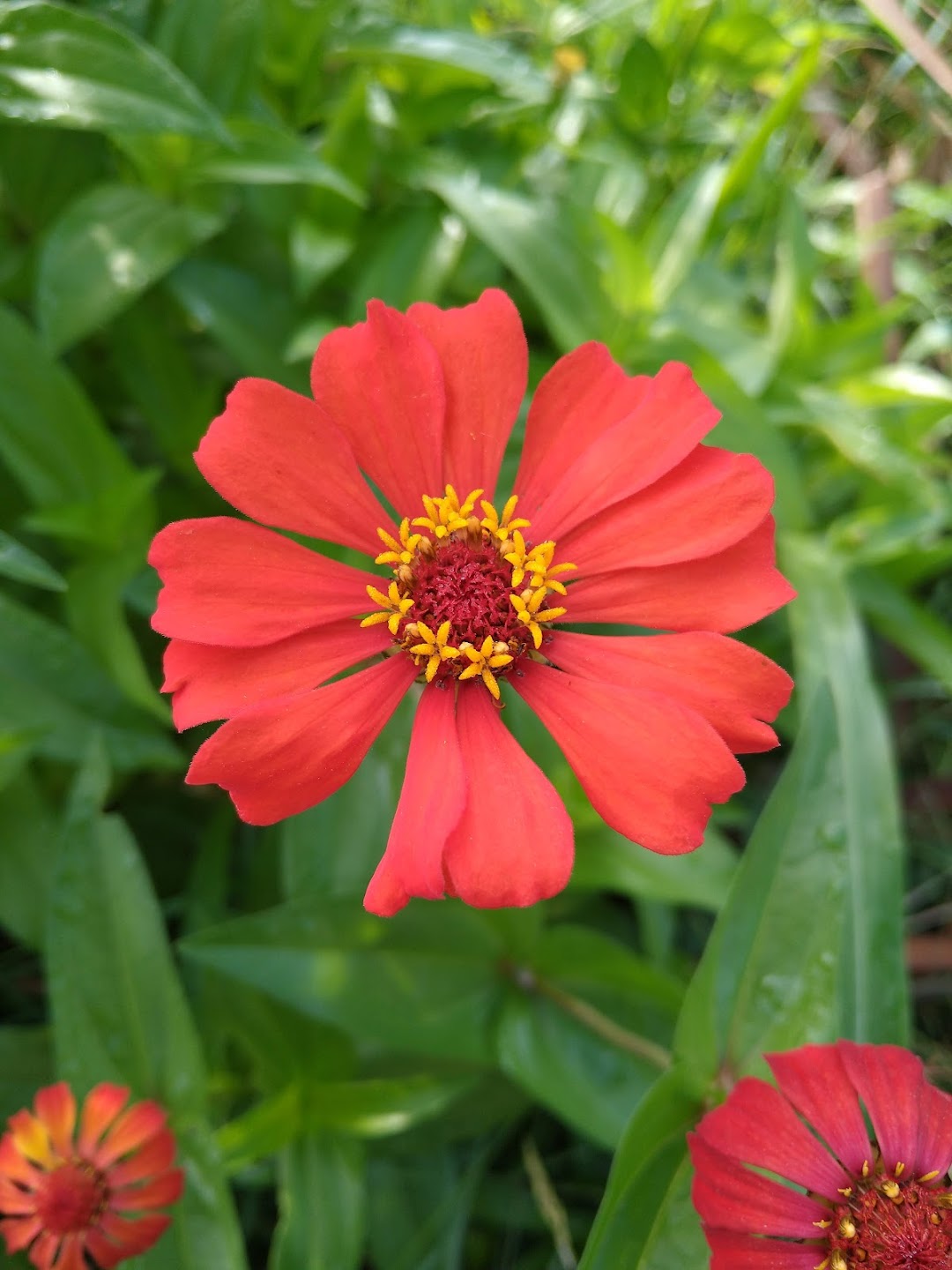 Parque Lineal Manzanares