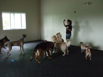 Pet Degree Dog Training Center