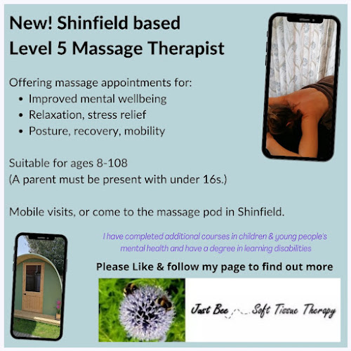 Just Bee Soft Tissue Therapy - Massage therapist