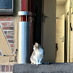 Photo n°4 de l'avis de William.r fait le 06/09/2023 à 19:52 sur le  Restaurant Schlossremise à Wolfsburg