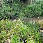 Photo n°4 de l'avis de Marcel.a fait le 13/08/2022 à 13:57 sur le  Pont'a Pé à Aljezur