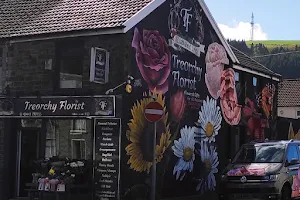 Treorchy Florists image