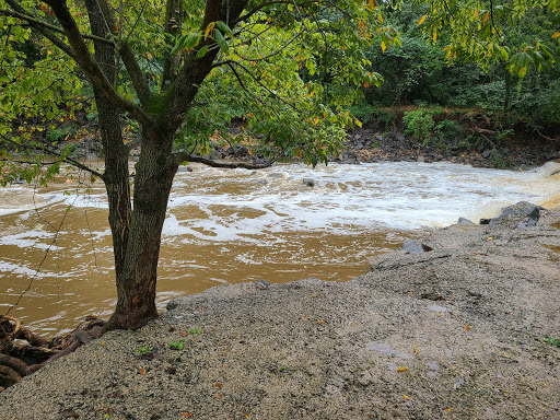 Park «Barcroft Park», reviews and photos, 4200 S Four Mile Run Dr, Arlington, VA 22206, USA