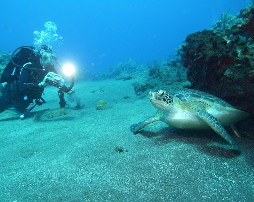 Dive Shop «Orbit Marine Sports Center Inc», reviews and photos, 3273 Fairfield Ave, Bridgeport, CT 06605, USA