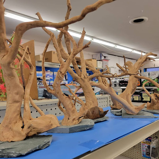 Pet Store «Coral Reef Pet Center», reviews and photos, 7723 W Lawrence Ave, Norridge, IL 60706, USA