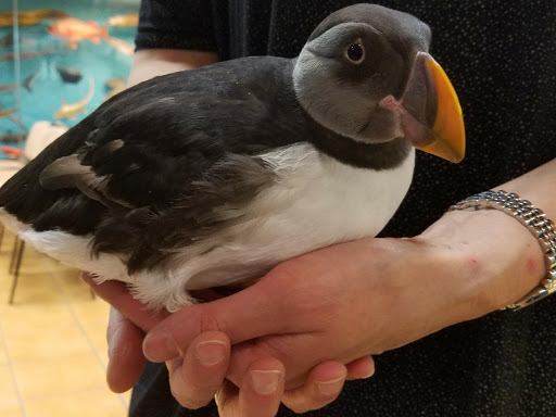 Electrician «Lowry Services», reviews and photos, 101 Christopher Ln, Harleysville, PA 19438, USA